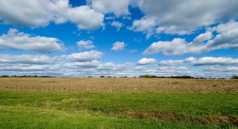 Farm Park - Empty Field